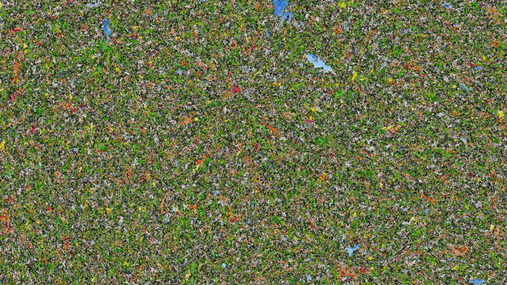 Procedural image generation output